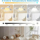 F4- Multifunctional Fan Light