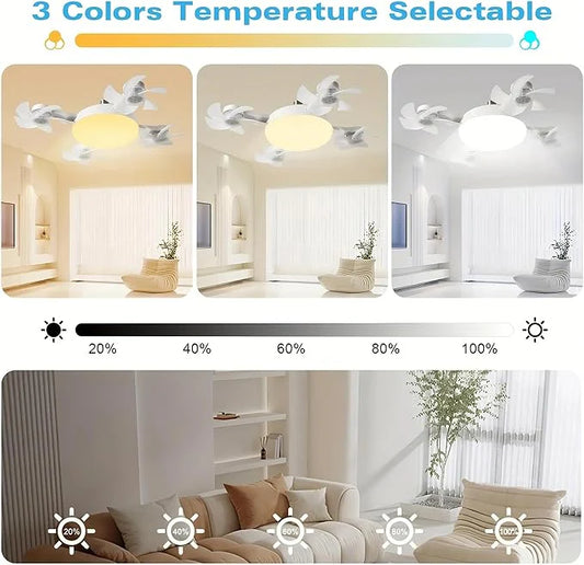 F4- Multifunctional Fan Light